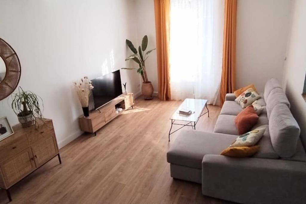 Maison De Charme Proche Gare Et Centre Ville Gaillac Extérieur photo