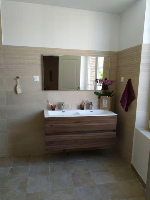 Maison De Charme Proche Gare Et Centre Ville Gaillac Extérieur photo